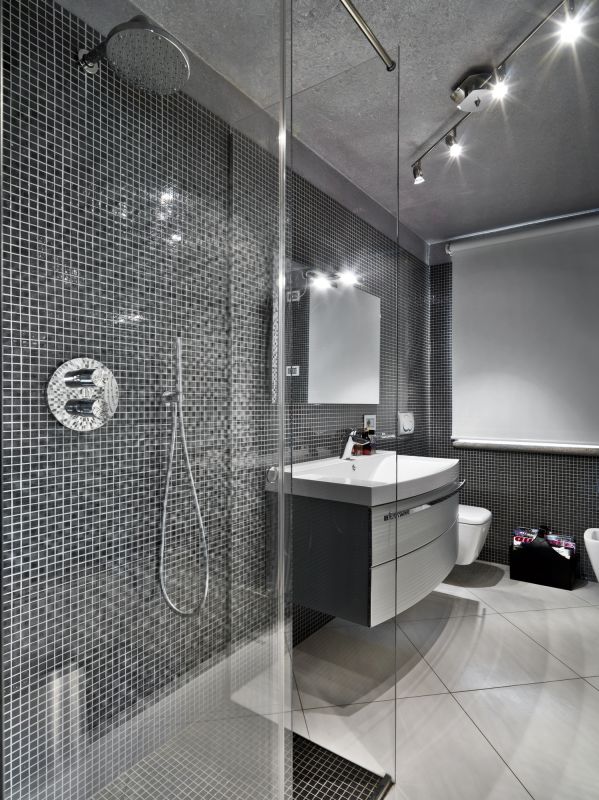 Sleek Modern Shower Design